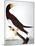 Audubon: Booby-John James Audubon-Mounted Giclee Print