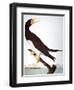 Audubon: Booby-John James Audubon-Framed Giclee Print