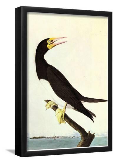 Poster, , large