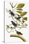 Audubon: Bunting, 1827-38-John James Audubon-Stretched Canvas