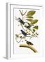 Audubon: Bunting, 1827-38-John James Audubon-Framed Giclee Print