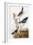 Audubon: Bunting-John James Audubon-Framed Giclee Print