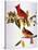 Audubon: Cardinal-John James Audubon-Stretched Canvas