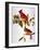 Audubon: Cardinal-John James Audubon-Framed Giclee Print