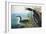 Audubon: Common Loon-John James Audubon-Framed Giclee Print