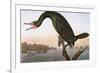 Audubon: Cormorant-John James Audubon-Framed Premium Giclee Print