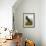 Audubon: Cormorant-John James Audubon-Framed Giclee Print displayed on a wall