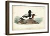 Audubon Ducks III-John James Audubon-Framed Art Print