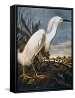 Audubon: Egret-John James Audubon-Framed Stretched Canvas
