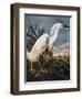 Audubon: Egret-John James Audubon-Framed Premium Giclee Print