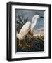 Audubon: Egret-John James Audubon-Framed Premium Giclee Print