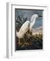 Audubon: Egret-John James Audubon-Framed Premium Giclee Print