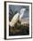 Audubon: Egret-John James Audubon-Framed Premium Giclee Print