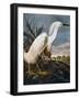 Audubon: Egret-John James Audubon-Framed Giclee Print