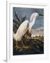 Audubon: Egret-John James Audubon-Framed Giclee Print