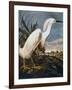 Audubon: Egret-John James Audubon-Framed Giclee Print