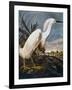 Audubon: Egret-John James Audubon-Framed Giclee Print