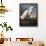 Audubon: Egret-John James Audubon-Framed Giclee Print displayed on a wall