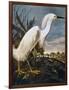 Audubon: Egret-John James Audubon-Framed Giclee Print