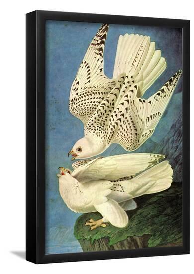 Poster, , large