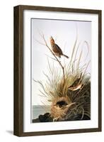 Audubon: Finch-John James Audubon-Framed Giclee Print