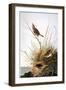 Audubon: Finch-John James Audubon-Framed Giclee Print