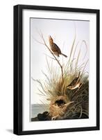 Audubon: Finch-John James Audubon-Framed Giclee Print