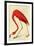 Audubon Flamingo Bird-null-Framed Art Print