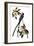 Audubon: Flycatcher, 1827-John James Audubon-Framed Giclee Print