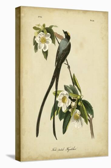 Audubon Fork-tailed Flycatcher-John James Audubon-Stretched Canvas