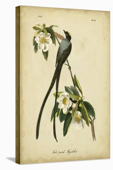 Audubon Fork-tailed Flycatcher-John James Audubon-Stretched Canvas