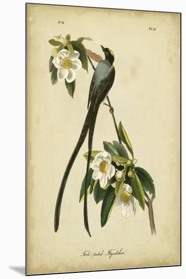 Audubon Fork-tailed Flycatcher-John James Audubon-Mounted Art Print