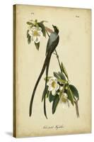 Audubon Fork-tailed Flycatcher-John James Audubon-Stretched Canvas