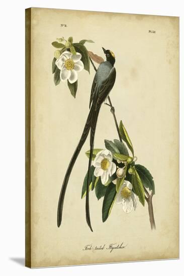 Audubon Fork-tailed Flycatcher-John James Audubon-Stretched Canvas