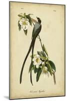 Audubon Fork-tailed Flycatcher-John James Audubon-Mounted Art Print