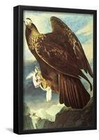 Audubon Golden Eagle Bird Art Poster Print-null-Framed Poster