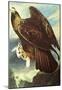 Audubon Golden Eagle Bird Art Poster Print-null-Mounted Poster