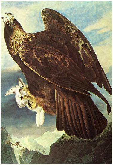 Poster, , large