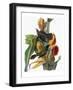 Audubon: Grackle-John James Audubon-Framed Giclee Print