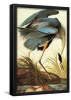 Audubon Great Blue Heron Bird Art Poster Print-null-Framed Poster