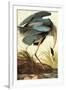 Audubon Great Blue Heron Bird-null-Framed Art Print