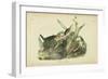 Audubon Green Heron-John James Audubon-Framed Art Print