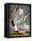 Audubon: Gull-John James Audubon-Framed Stretched Canvas