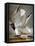 Audubon: Gull-John James Audubon-Framed Stretched Canvas