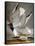 Audubon: Gull-John James Audubon-Framed Stretched Canvas