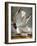 Audubon: Gull-John James Audubon-Framed Giclee Print