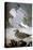 Audubon: Gull-John James Audubon-Stretched Canvas