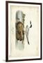 Audubon Havells Tern-John James Audubon-Framed Art Print