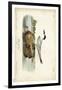 Audubon Havells Tern-John James Audubon-Framed Art Print