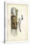 Audubon Havells Tern-John James Audubon-Stretched Canvas